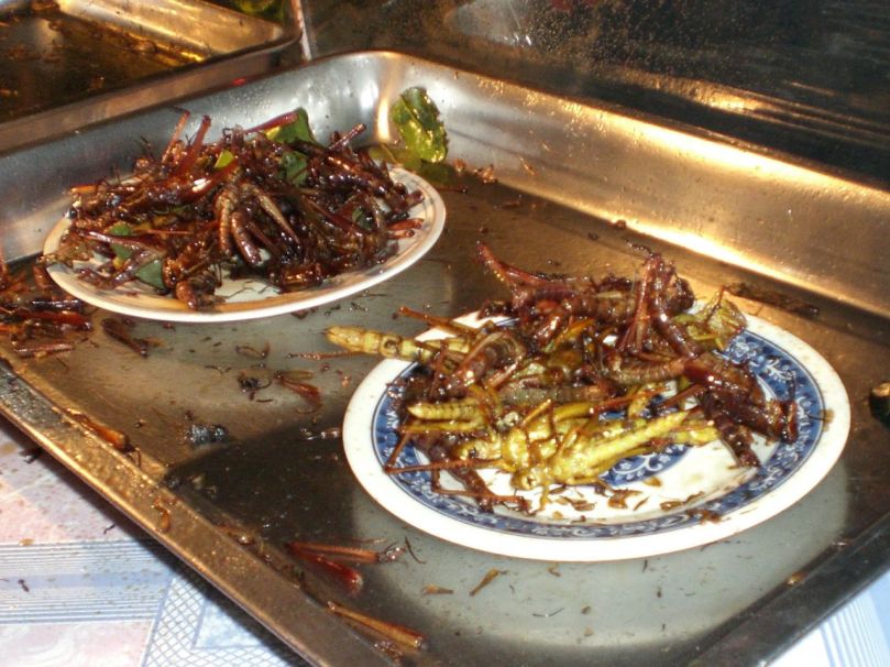 more delicious lao insects